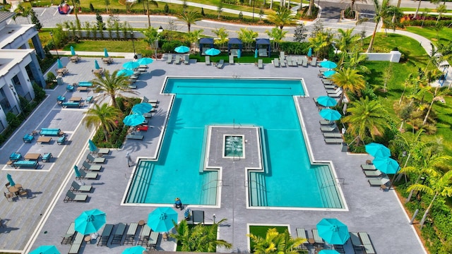 view of swimming pool