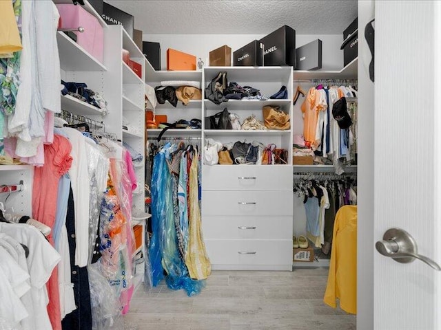 spacious closet with light hardwood / wood-style floors