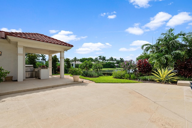 view of patio with grilling area and exterior kitchen