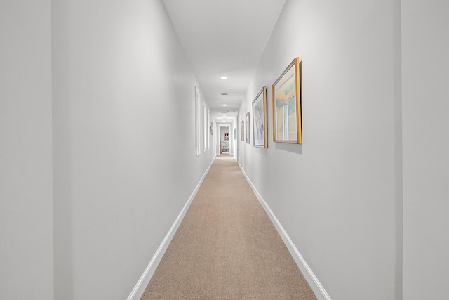 hallway featuring carpet floors