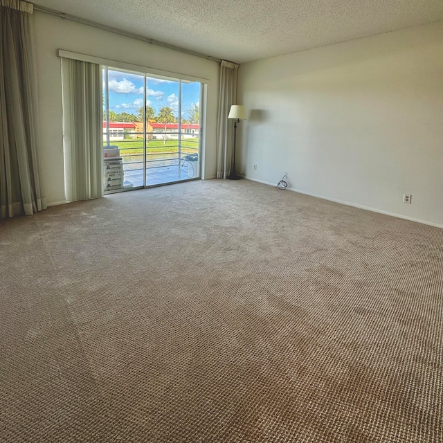 spare room featuring carpet flooring and a textured ceiling