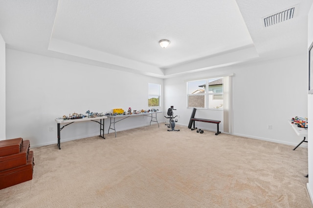 interior space featuring light carpet and a tray ceiling