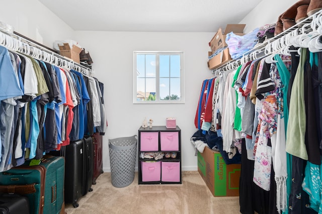 walk in closet featuring light colored carpet