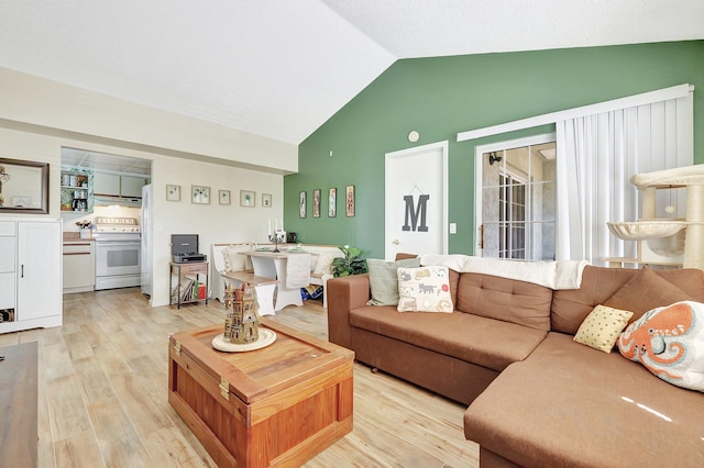 living room with lofted ceiling and light wood-type flooring