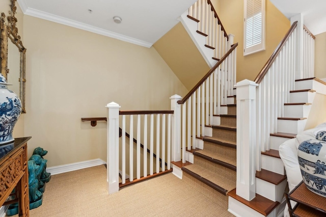 stairs with carpet floors and crown molding