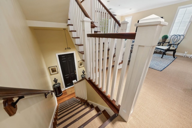 stairway featuring carpet