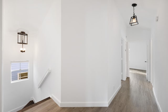 hall featuring wood-type flooring and vaulted ceiling