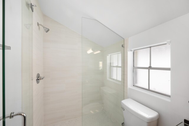 bathroom featuring toilet, a shower with door, and a wealth of natural light