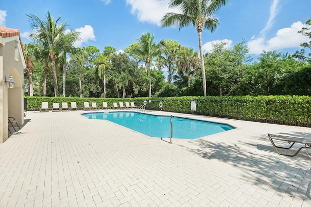 view of pool featuring a patio area