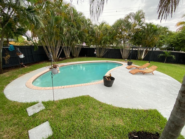 view of swimming pool featuring a patio area and a lawn