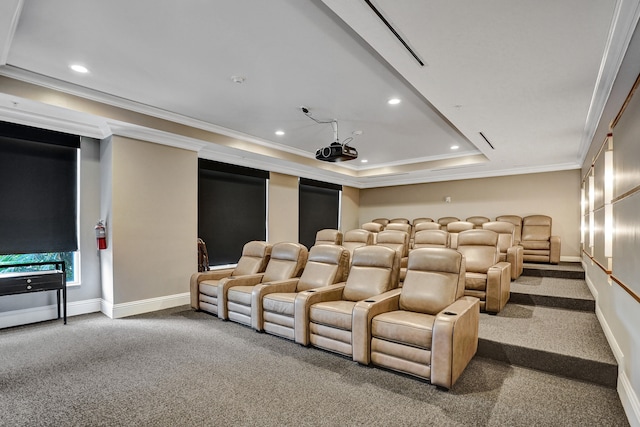 carpeted cinema featuring crown molding and a raised ceiling