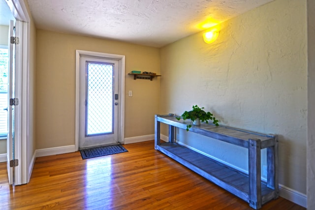 foyer with wood-type flooring and plenty of natural light