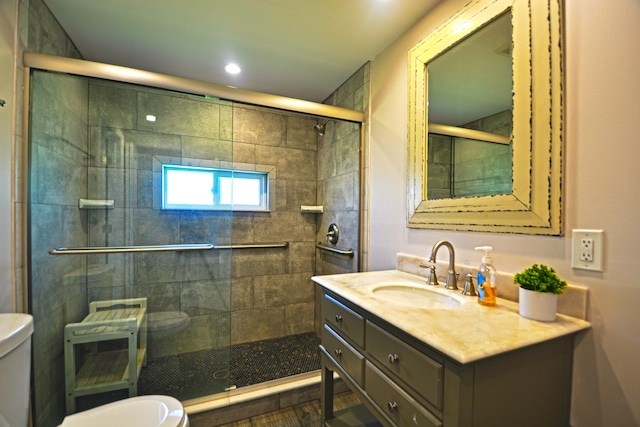 bathroom with walk in shower, toilet, and vanity