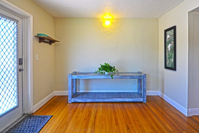 interior space featuring hardwood / wood-style flooring