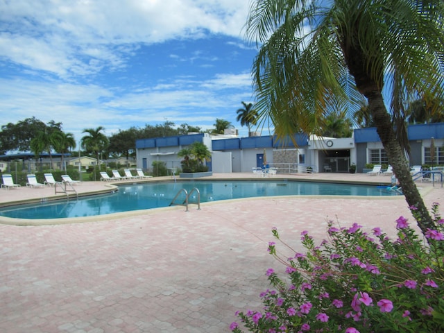 view of pool with a patio area