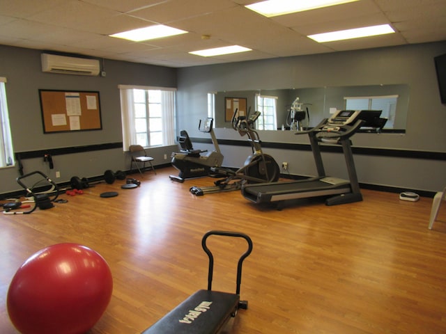 exercise room with hardwood / wood-style floors, a drop ceiling, and a wall unit AC