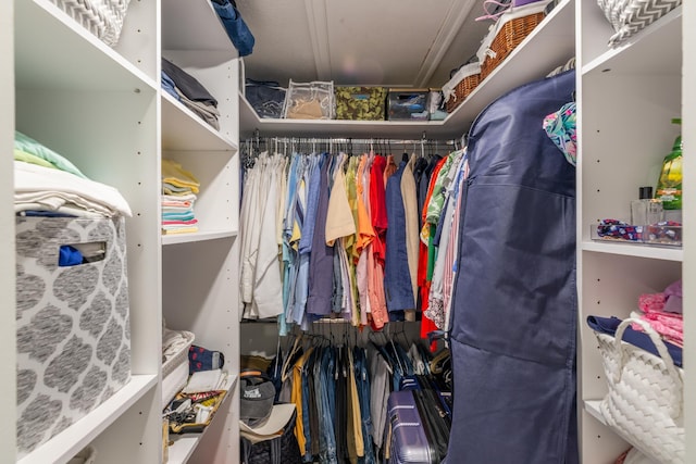 view of walk in closet