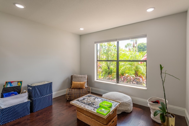 playroom with dark hardwood / wood-style flooring