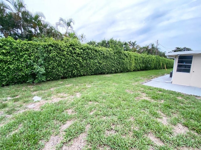 view of yard featuring a patio area