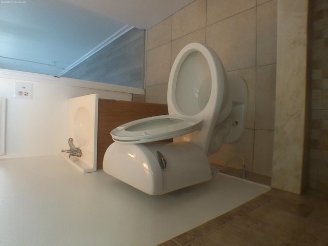 bathroom featuring tile walls, toilet, and tile patterned floors