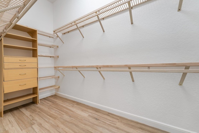 spacious closet featuring light wood-type flooring