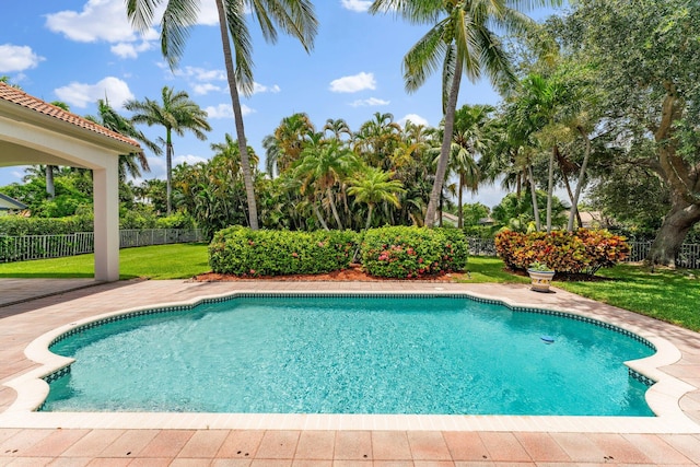 view of swimming pool with a lawn