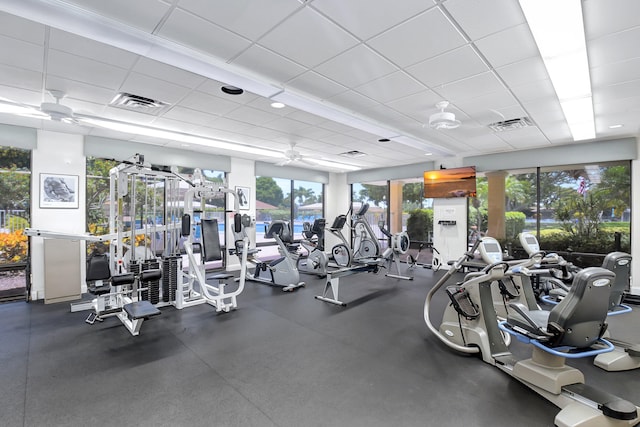 gym featuring a drop ceiling and ceiling fan