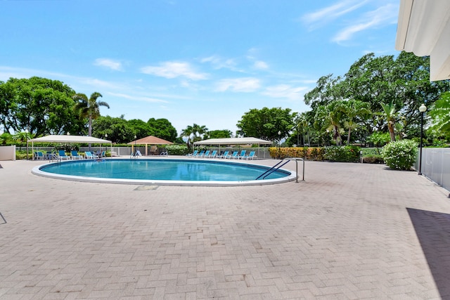 view of pool featuring a patio