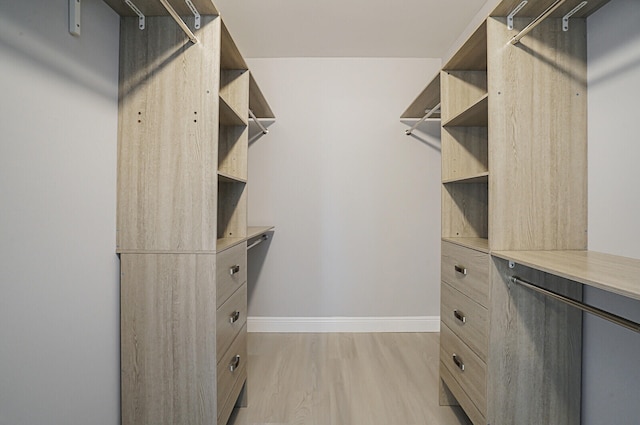 spacious closet featuring light hardwood / wood-style floors