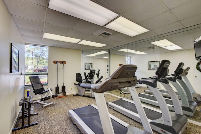 workout area featuring a drop ceiling and carpet floors