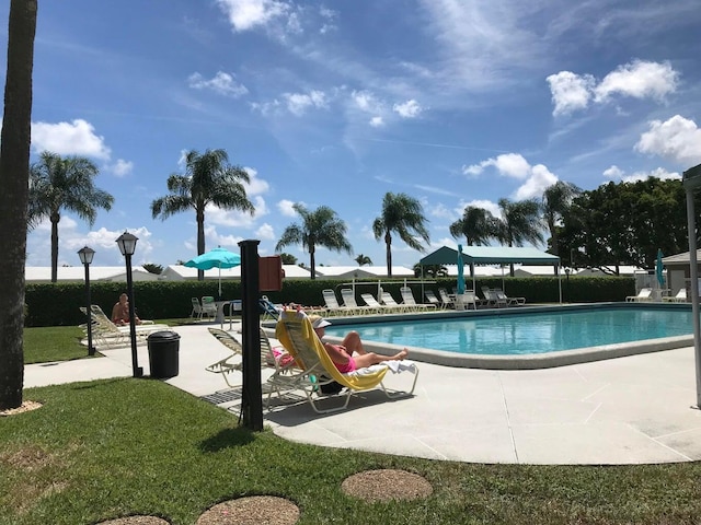 view of swimming pool featuring a patio