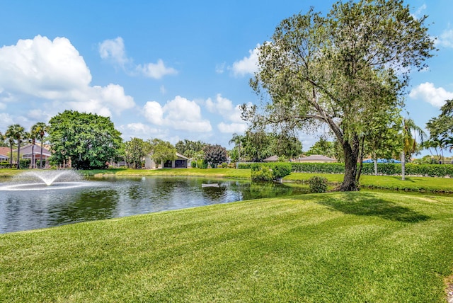 property view of water