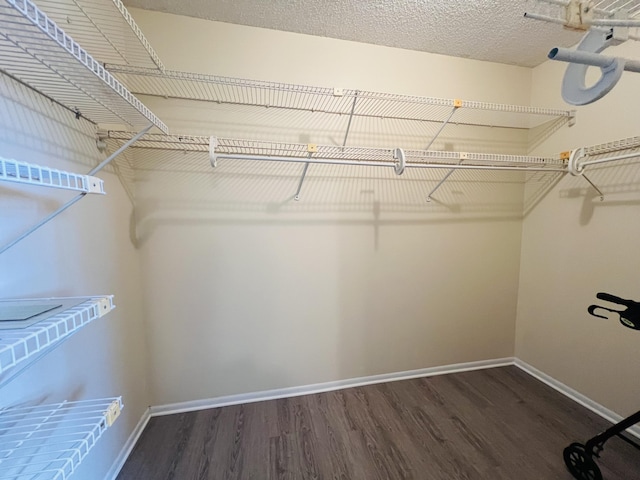 145 Lake Evelyn Dr, West Palm Beach, FL 33411 - spacious closet with wood finished floors