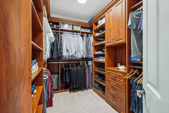 walk in closet with light colored carpet