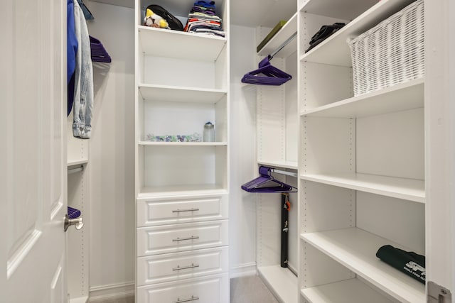 walk in closet with carpet flooring