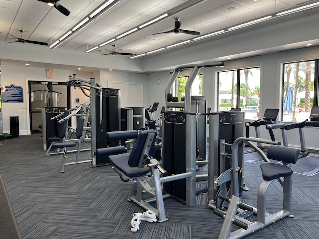 gym featuring dark carpet, ceiling fan, and a healthy amount of sunlight