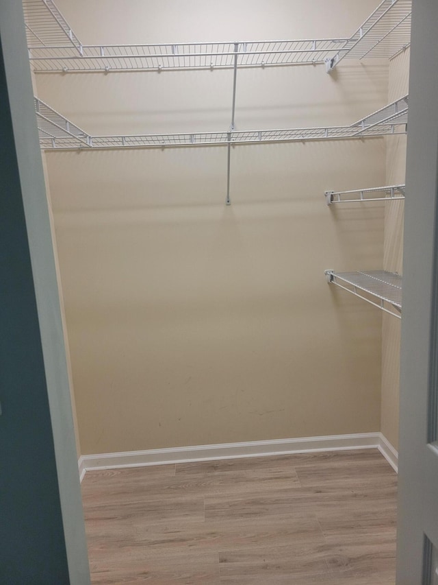 spacious closet featuring hardwood / wood-style floors