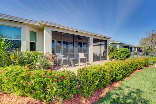 rear view of property featuring a patio and ceiling fan