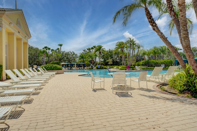 view of swimming pool with a patio