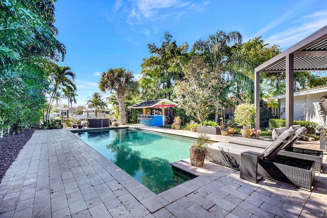 view of swimming pool featuring a patio area