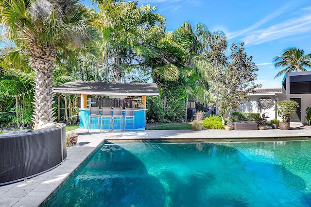 view of swimming pool with a patio and a bar