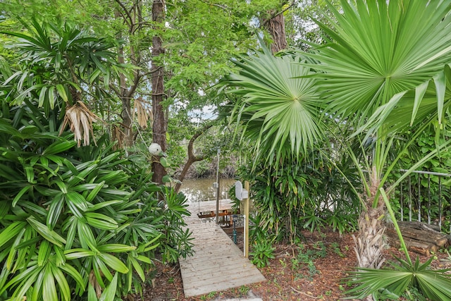 view of yard with a dock