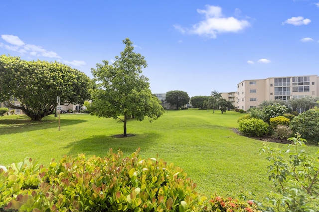 view of property's community featuring a yard