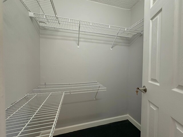 300 NE 26th Ave Unit 114, Boynton Beach, FL 33435 - view of walk in closet