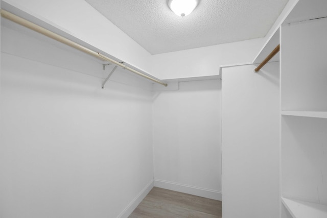 walk in closet with light wood-type flooring