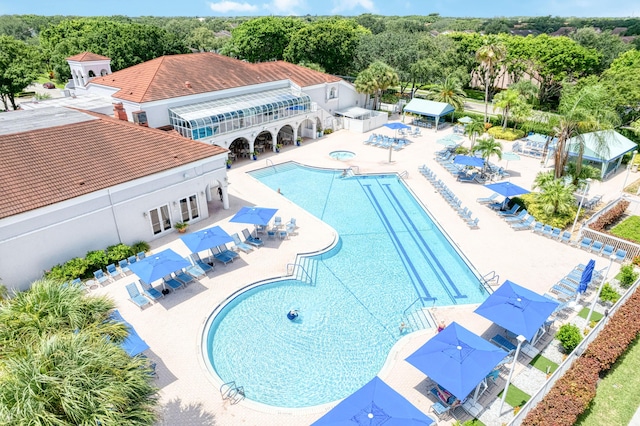 view of swimming pool featuring a patio area