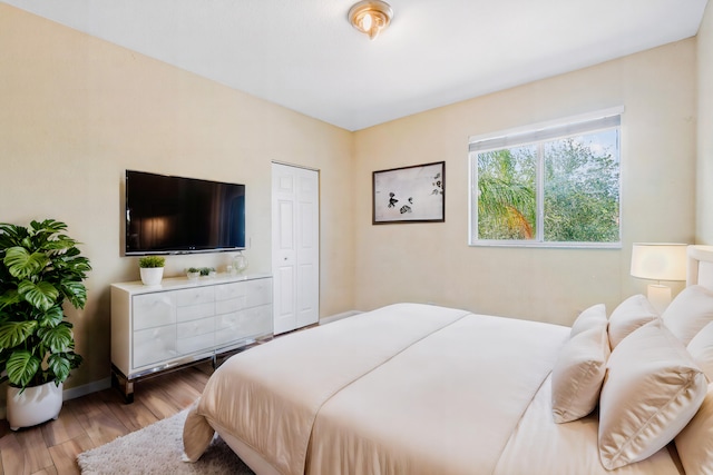 bedroom featuring wood-type flooring