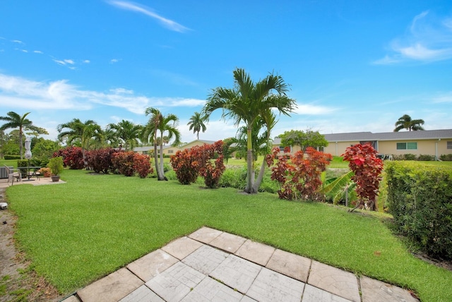 view of yard featuring a patio area