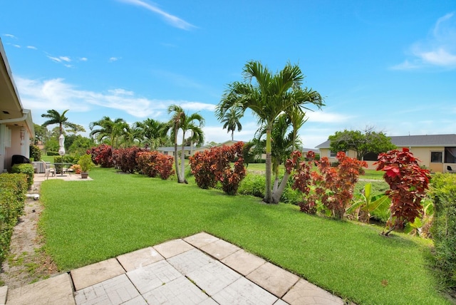 view of yard featuring a patio area