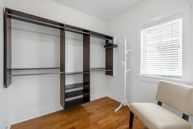 walk in closet featuring wood-type flooring